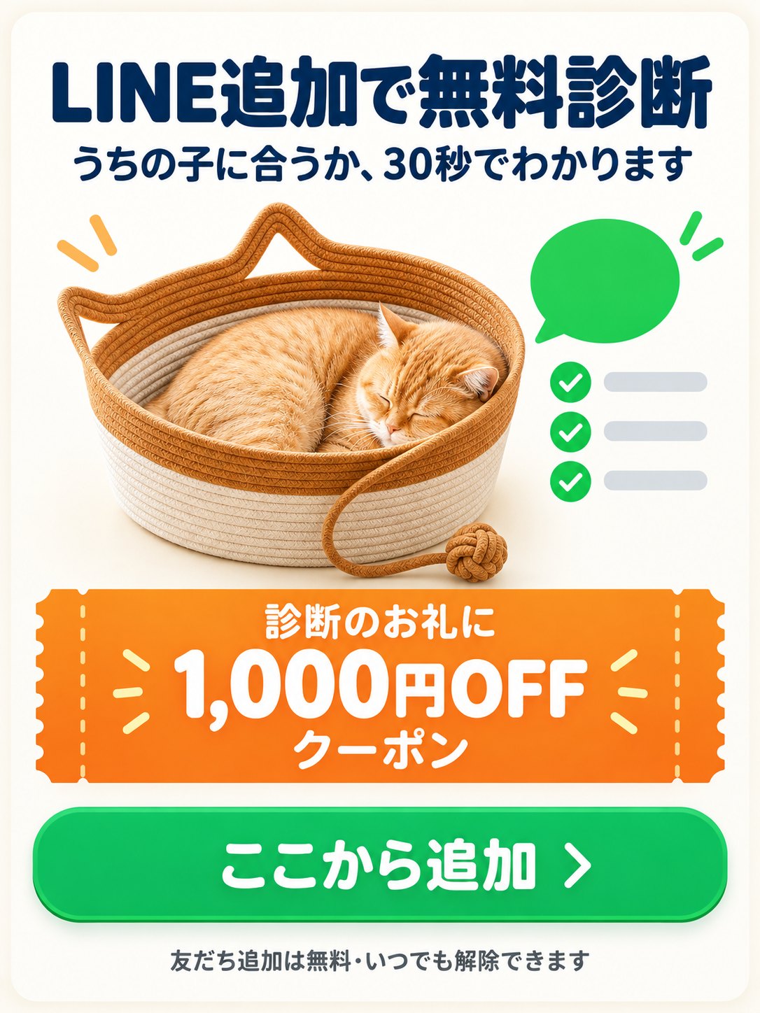 LINE追加で無料診断。うちの子に合うか30秒でわかります。診断のお礼に1,000円OFFクーポン。ここから追加